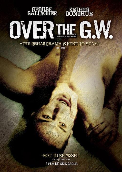 Over the GW 2007 official movie poster