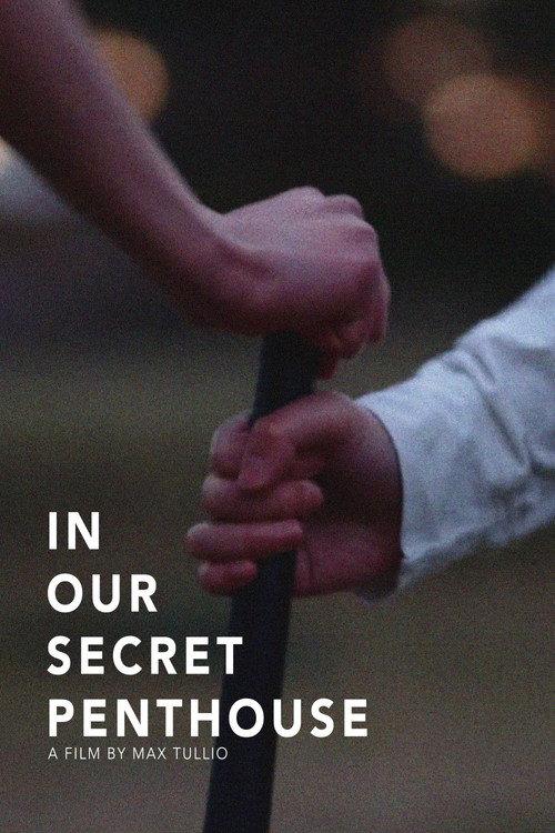 In Our Secret Penthouse 2022 official movie poster