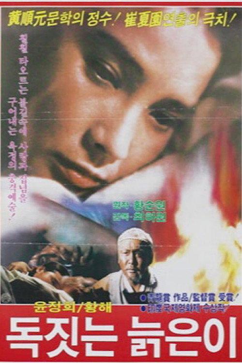 An Old Potter 1969 official movie poster