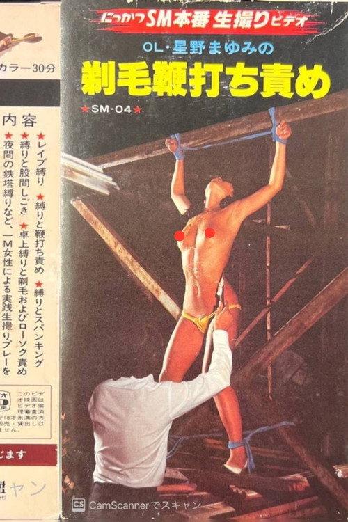 OL Mayumi Hoshino: Shaved Hair Whipping Torture 1982 official movie poster