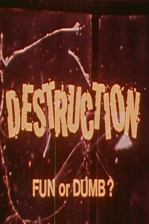 Destruction: Fun or Dumb? 1976 official movie poster