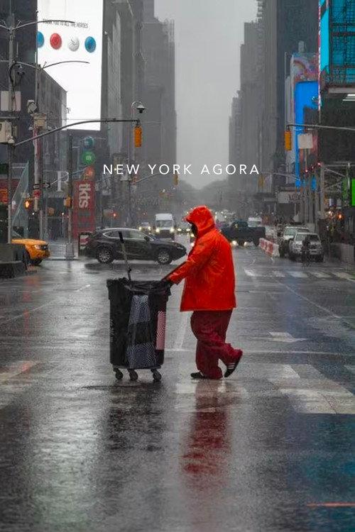 New York Agora: The Legacy of the 60s Counterculture 2008 official movie poster