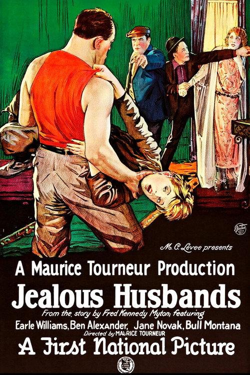 Jealous Husbands 1923 official movie poster