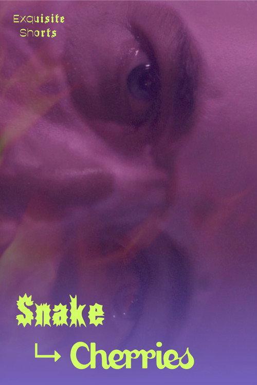 Snake to Cherries  official movie poster