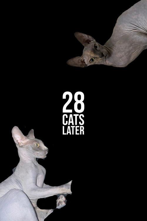 28 Cats Later 2025 official movie poster