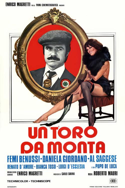 A Bull for Mounts 1976 official movie poster