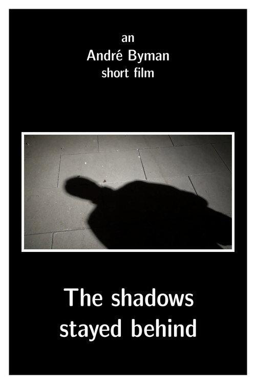 The shadows stayed behind 2011 official movie poster