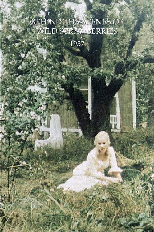 Behind the Scenes of Wild Strawberries 1957 official movie poster