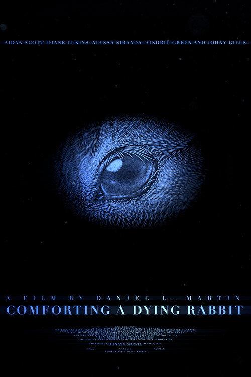 Comforting A Dying Rabbit 2024 official movie poster