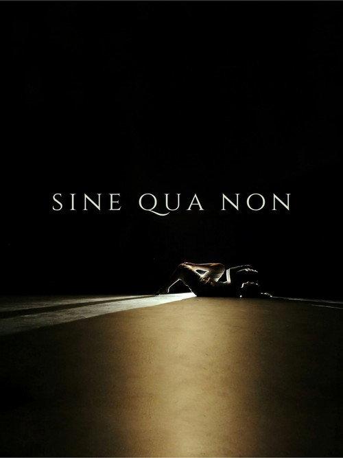 Sine Qua Non 2024 official movie poster