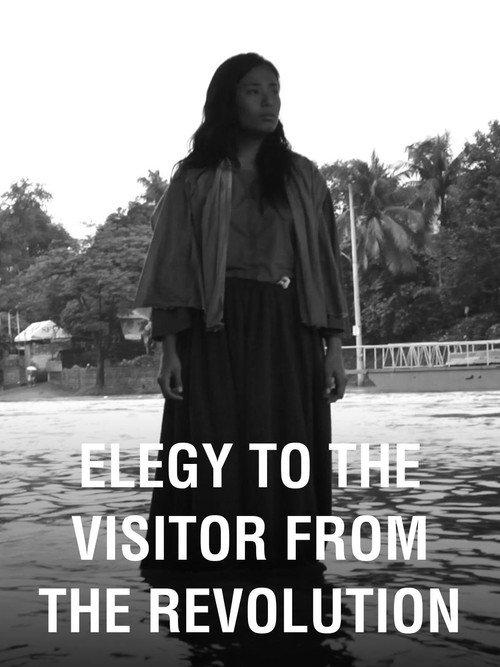 Elegy to the Visitor From the Revolution 2011 official movie poster