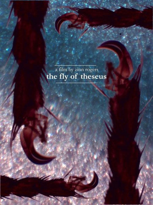 The Fly of Theseus 2026 official movie poster