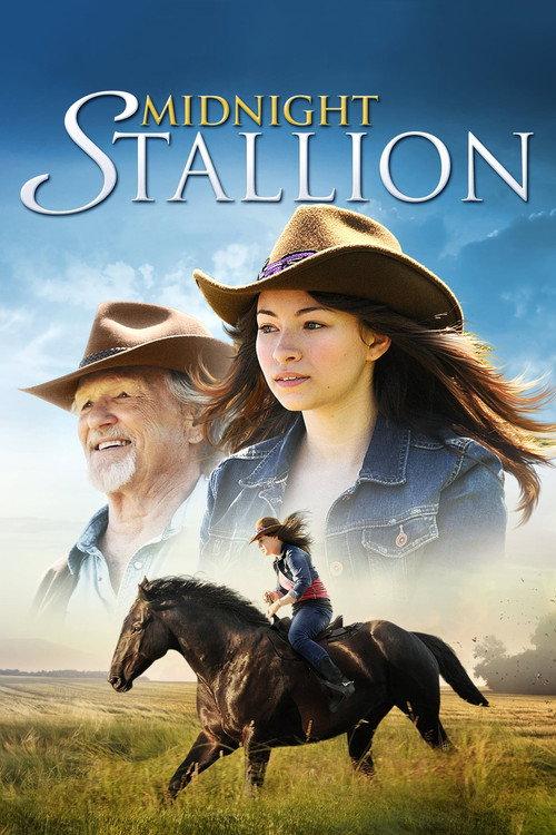 Midnight Stallion 2013 official movie poster