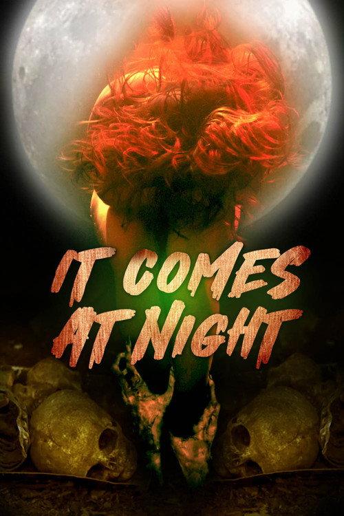 In the Light of the Night 2022 official movie poster