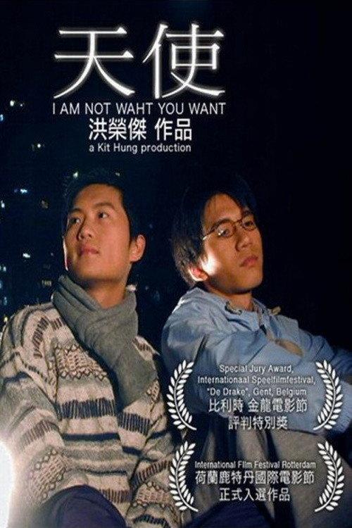 I Am Not What You Want 2001 official movie poster