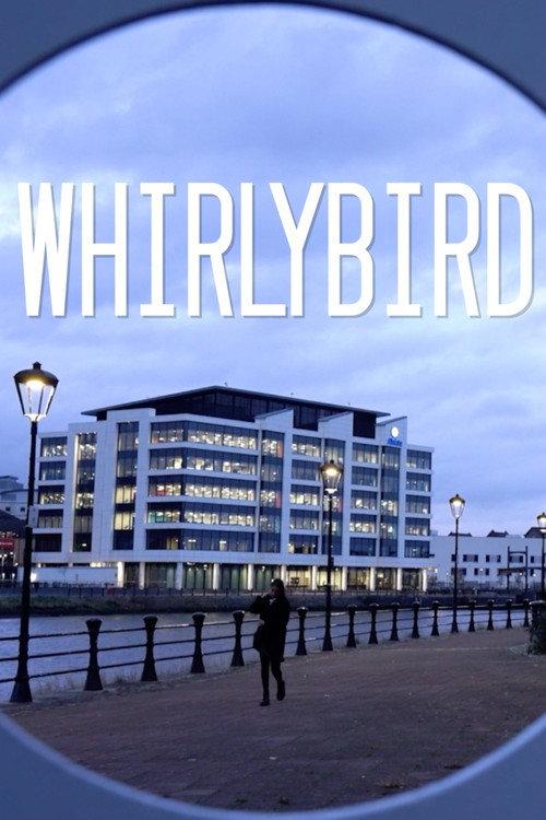 Whirlybird 2022 official movie poster