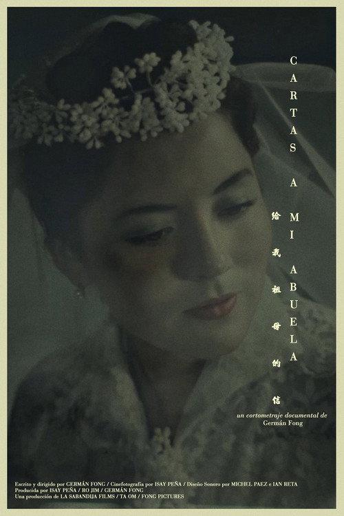 Letters to my Grandma 2024 official movie poster