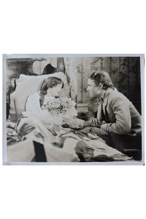 The Wreck of the Hesperus 1927 official movie poster