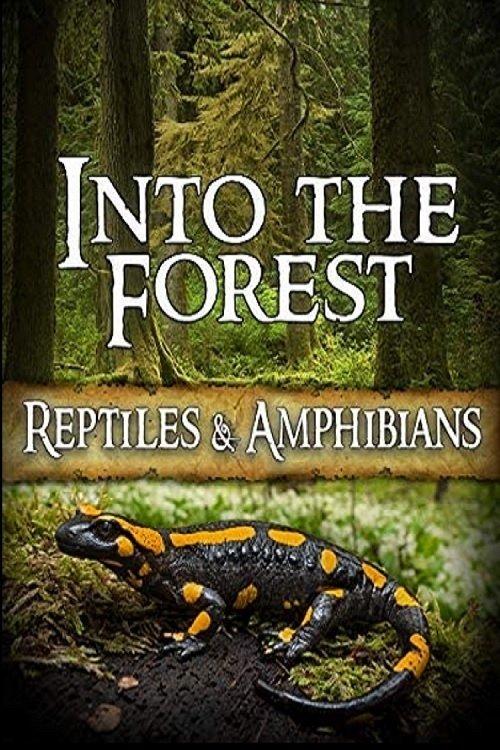 Into the Forest: Reptiles & Amphibians 2019 official movie poster