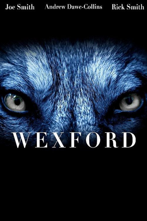 Wexford 2015 official movie poster