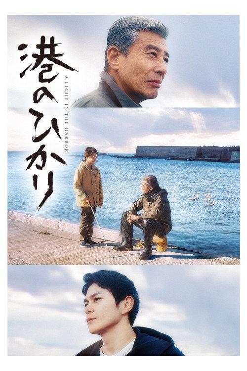 A Light in the Harbor 2025 official movie poster