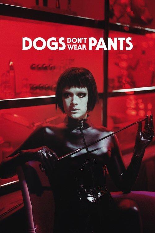 Dogs Don't Wear Pants 2019 official movie poster