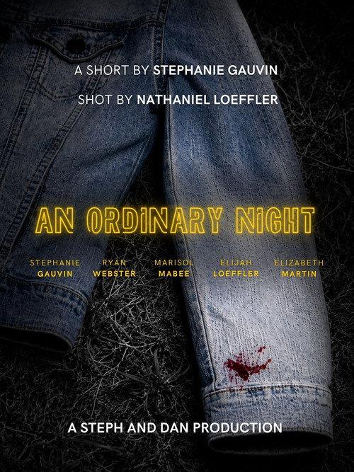 An Ordinary Night official movie poster