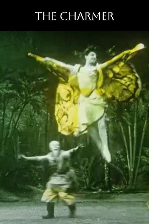 The Charmer 1906 official movie poster