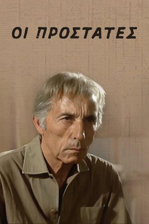 The Protectors 1973 official movie poster