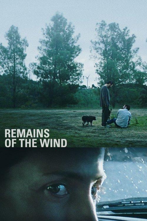 Remains of the Wind 2022 official movie poster