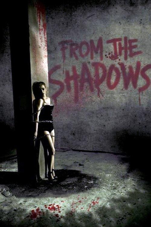 From the Shadows 2009 official movie poster
