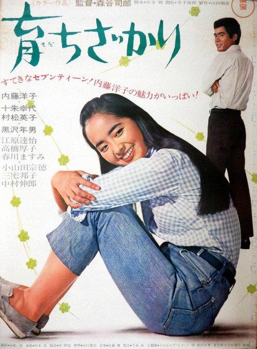 Sodachi zakari 1967 official movie poster