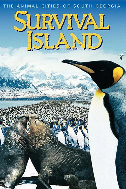 Survival Island 1996 official movie poster