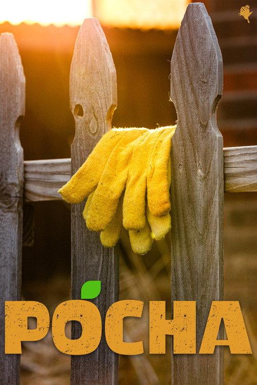 Pocha 2025 official movie poster
