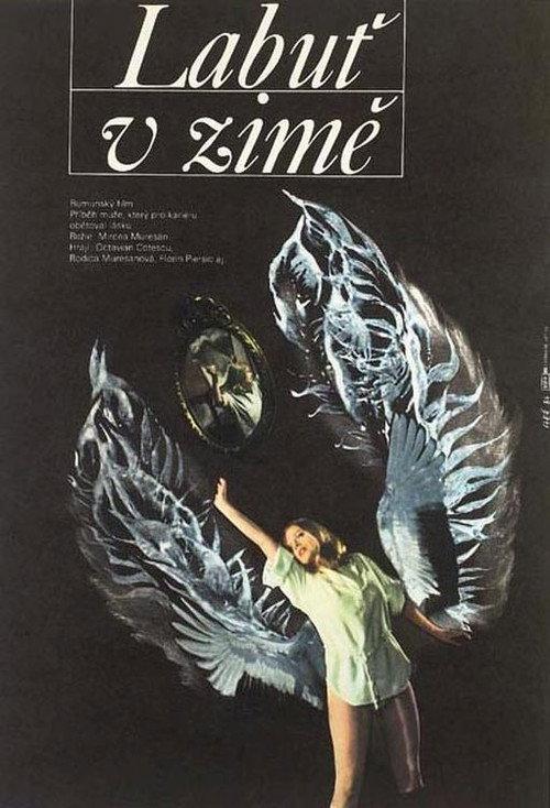 A Swan in Winter 1983 official movie poster