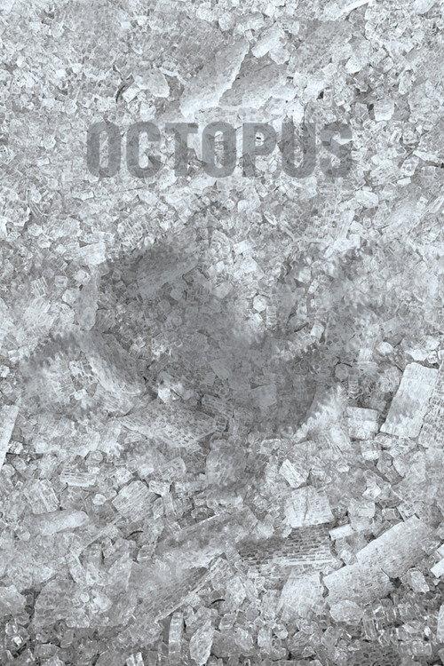Octopus 2021 official movie poster
