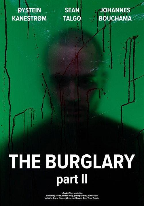 The Burglary: Part II official movie poster