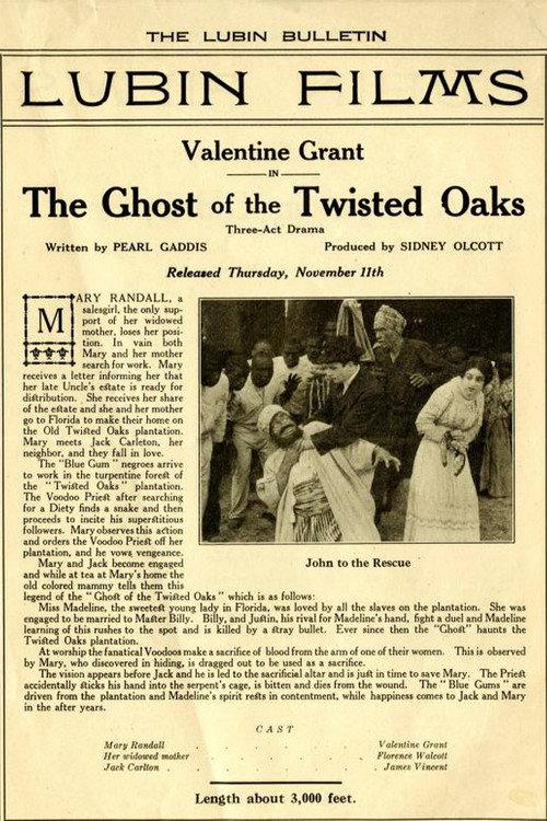 The Ghost of Twisted Oaks 1915 official movie poster
