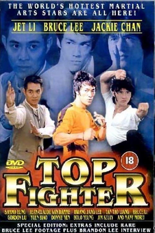 Top Fighter 1995 official movie poster
