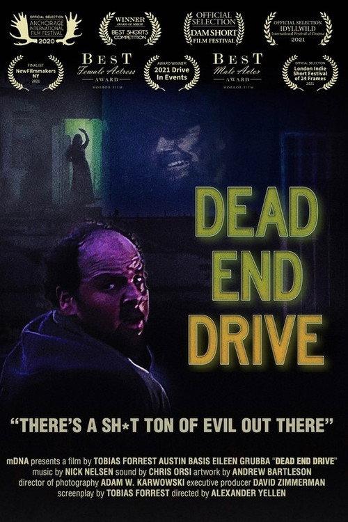 Dead End Drive 2020 official movie poster