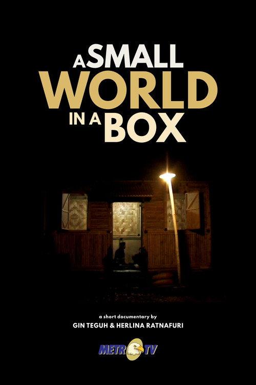 A Small World in a Box 2009 official movie poster