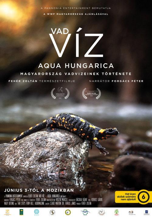Where Rivers Run Wild: Aqua Hungarica 2021 official movie poster