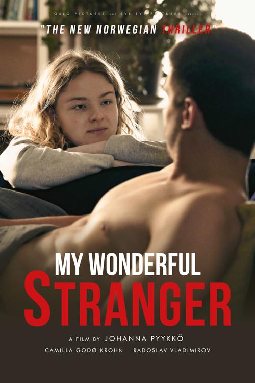 My Wonderful Stranger 2024 official movie poster