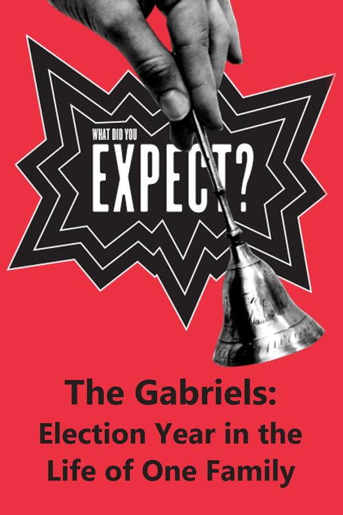 The Gabriels: Election Year in the Life of One Family, Play Two: What Did You Expect? 2017 official movie poster