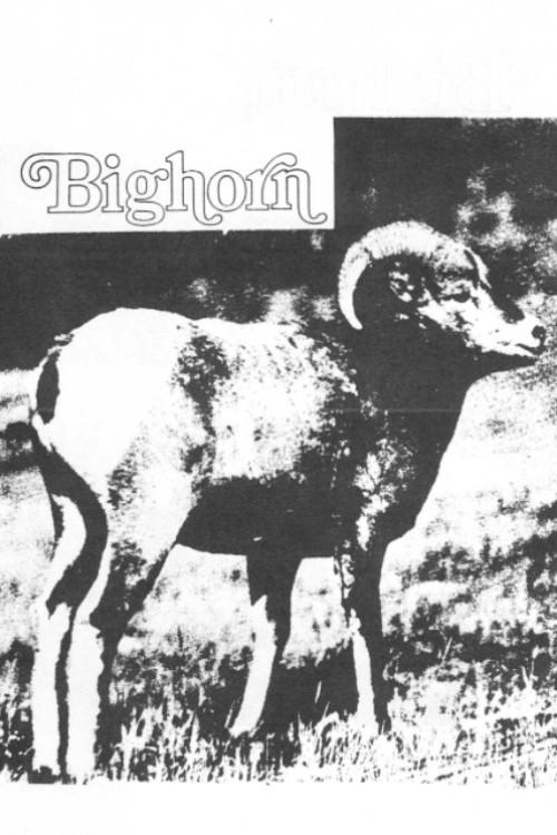 Bighorn 1970 official movie poster