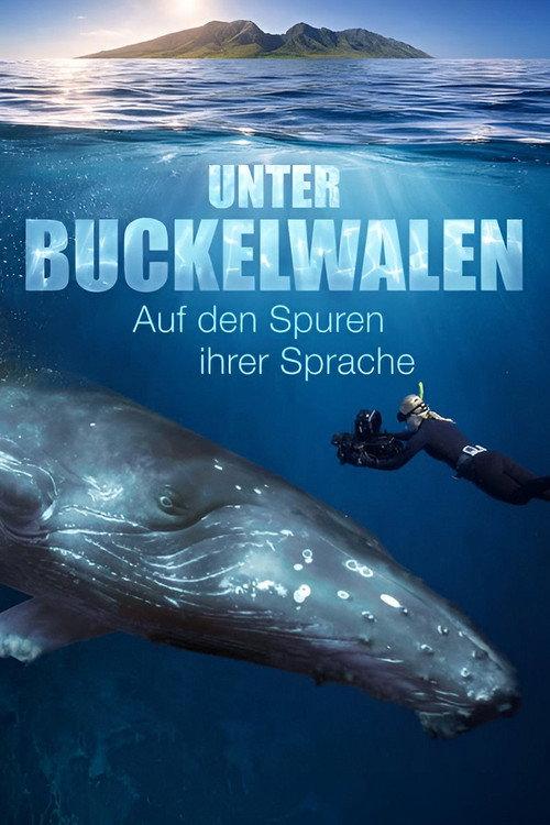 Among Humpback Whales 2026 official movie poster