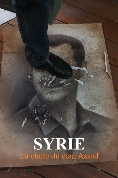 Syrie : la chute du clan Assad 2025 official movie poster