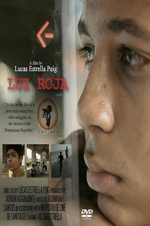 Luz Roja 2013 official movie poster