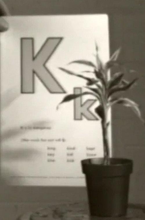 Teaching a Plant the Alphabet 1972 official movie poster