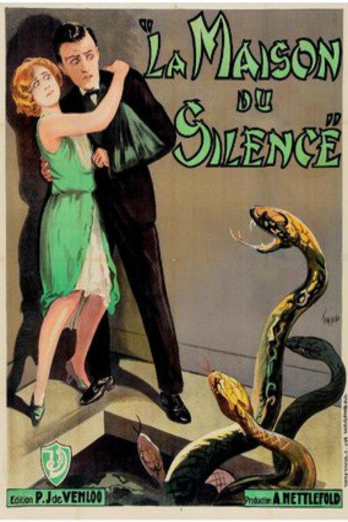 The Silent House 1929 official movie poster